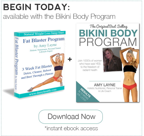 Fat Blaster eBook Plus Bikini Body Program
