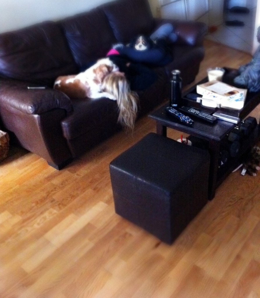 Amy Layne and DAMY Dogs Napping