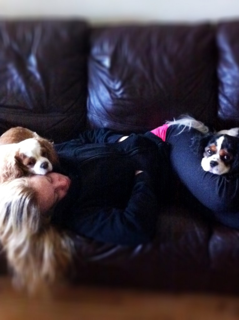 DAMY Health Dogs Nap Cute