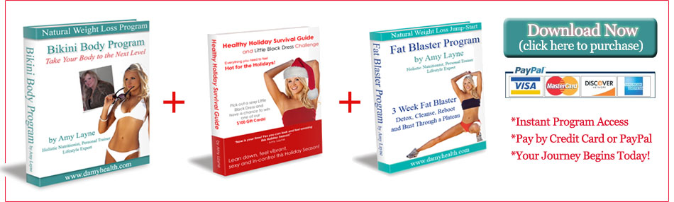 Bikini Body Buy Now Button Holiday Program
