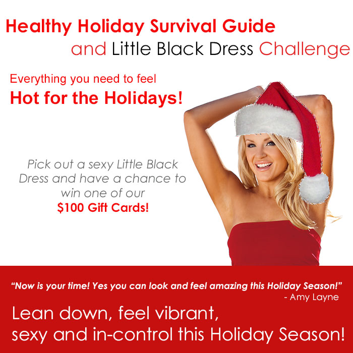 Holiday Survival Guide FLAT SHEET 2014