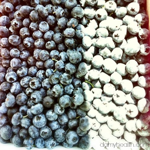 blueberries1