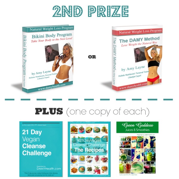 second prize