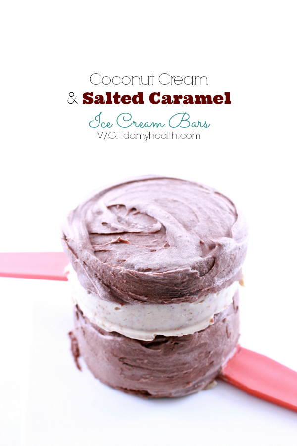 Vegan Ice Cream Bars