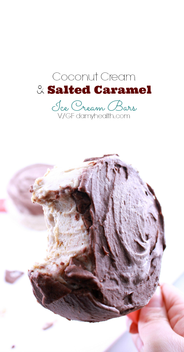 Vegan Ice Cream Bars