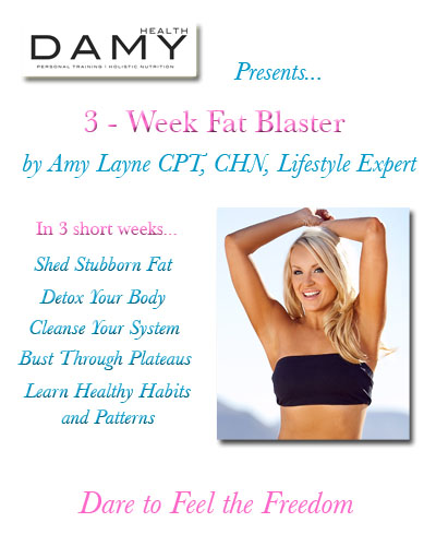 Fat Blaster Program