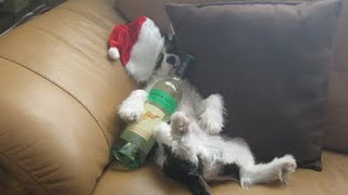 oscar-drunk