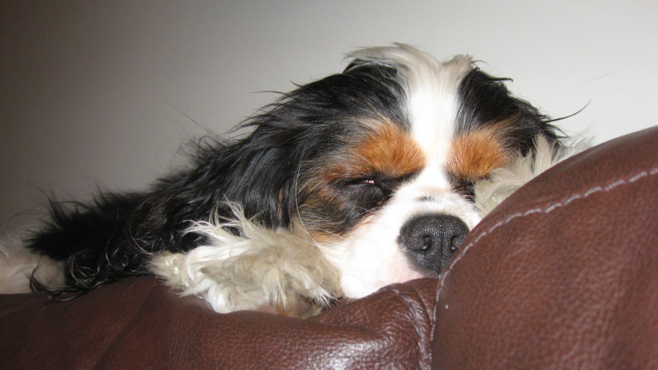 Are You Sleeping Enough?