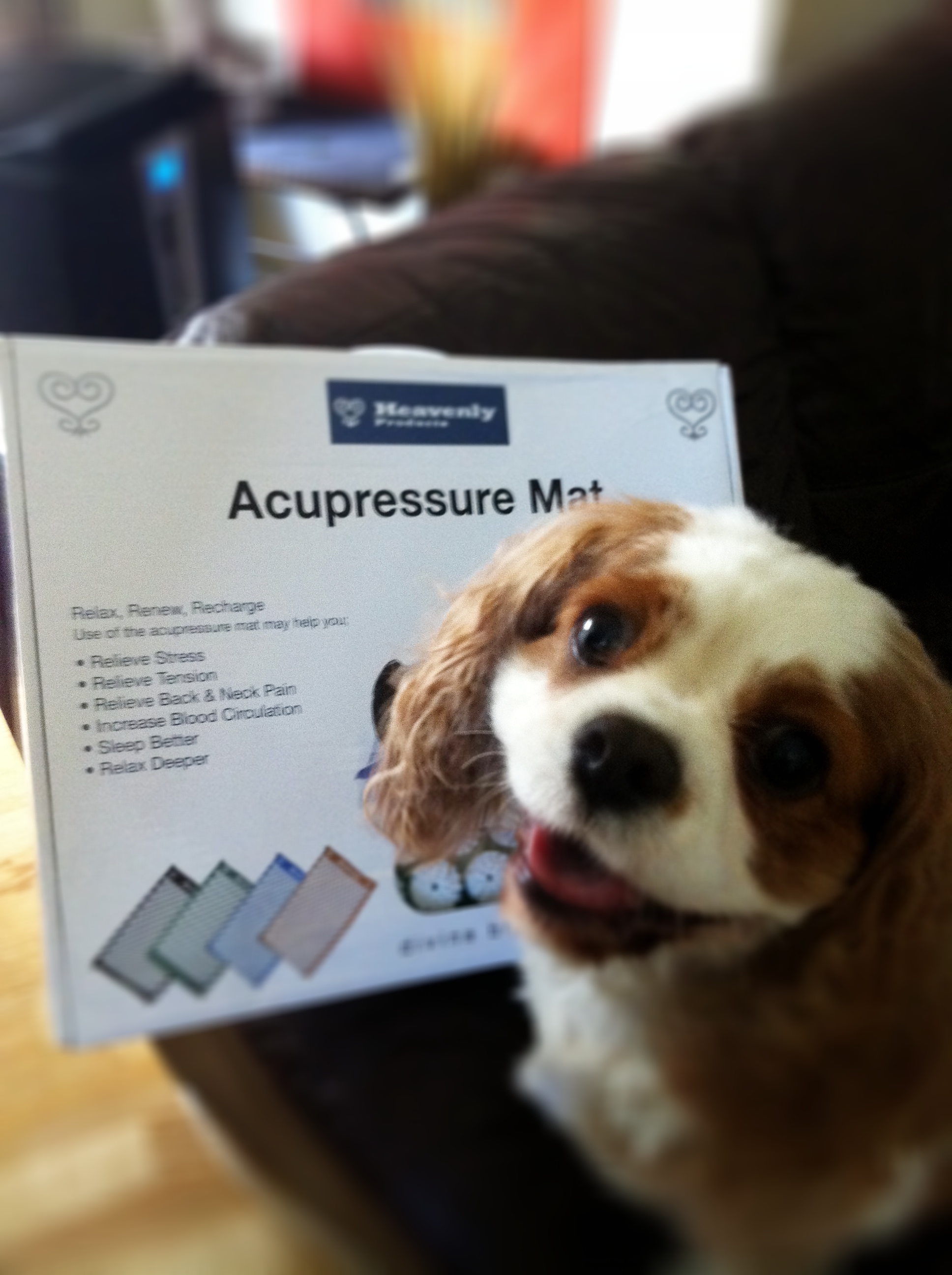 Heavenly Acupressure Mat Review And Giveaway