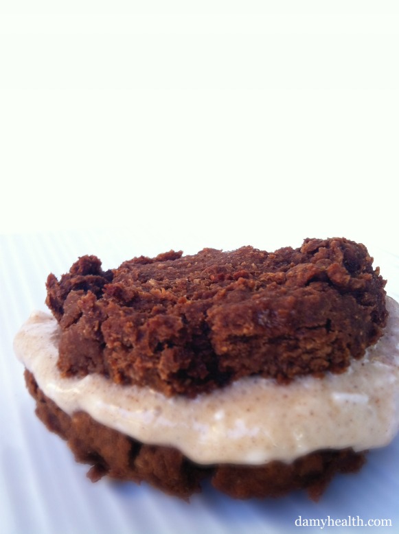 Clean Chocolate Fudge Coconut Ice Cream Sandwiches