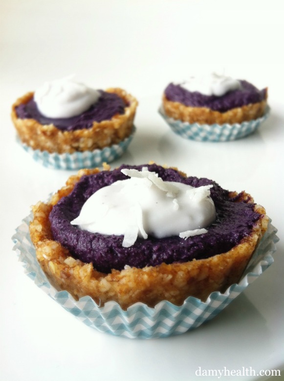 Vegan No-bake Blueberry Pies