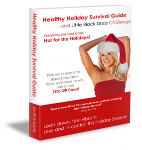 Holiday Survival Guide Book Cover 2014
