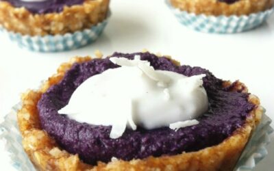 Raw Blueberry Pie (Single Serving & Whole)