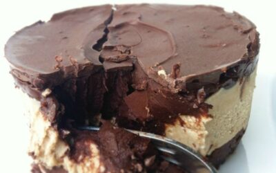 Vegan Buster Bar Dessert