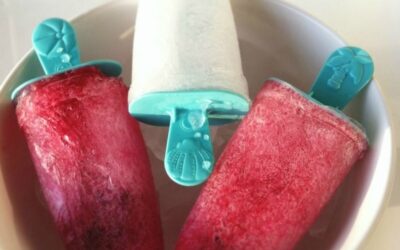 The Easiest Sugar Free Popsicles Ever