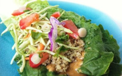 Raw Seed Cheese Wraps