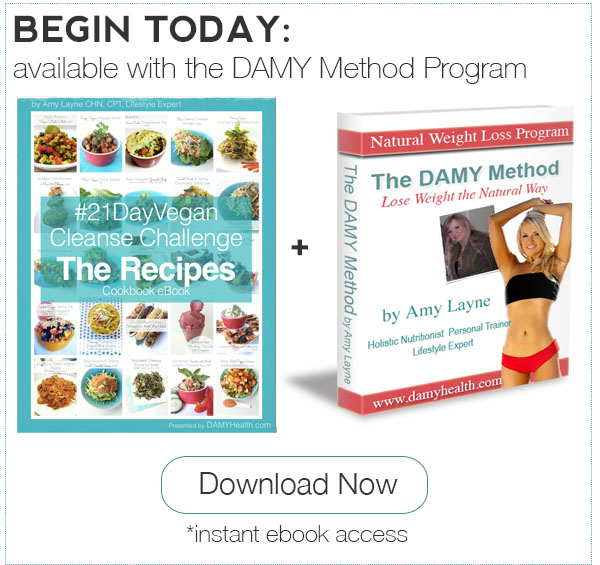 21 Day Vegan Cleanse Recipes plus DAMY Method Program