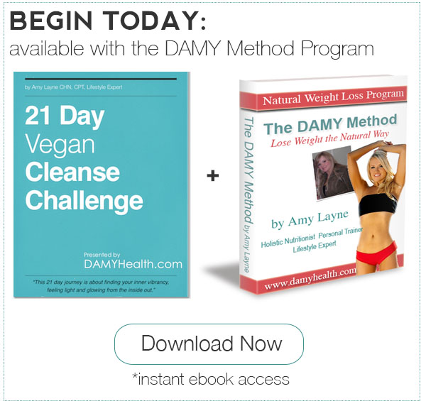 21 Day Vegan Cleanse Plus the DAMY Method Program